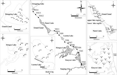 Characteristics of plant trait network and its influencing factors in impounded lakes and channel rivers of South-to-North Water Transfer Project, China